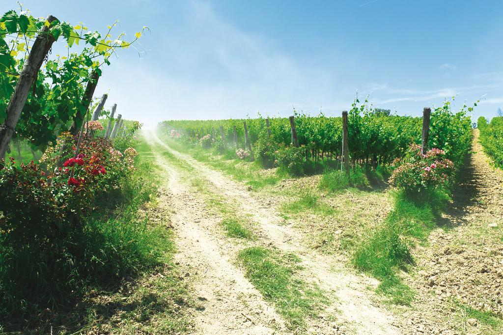 Roccafiore Wine Resort & Spa Τόντι Εξωτερικό φωτογραφία
