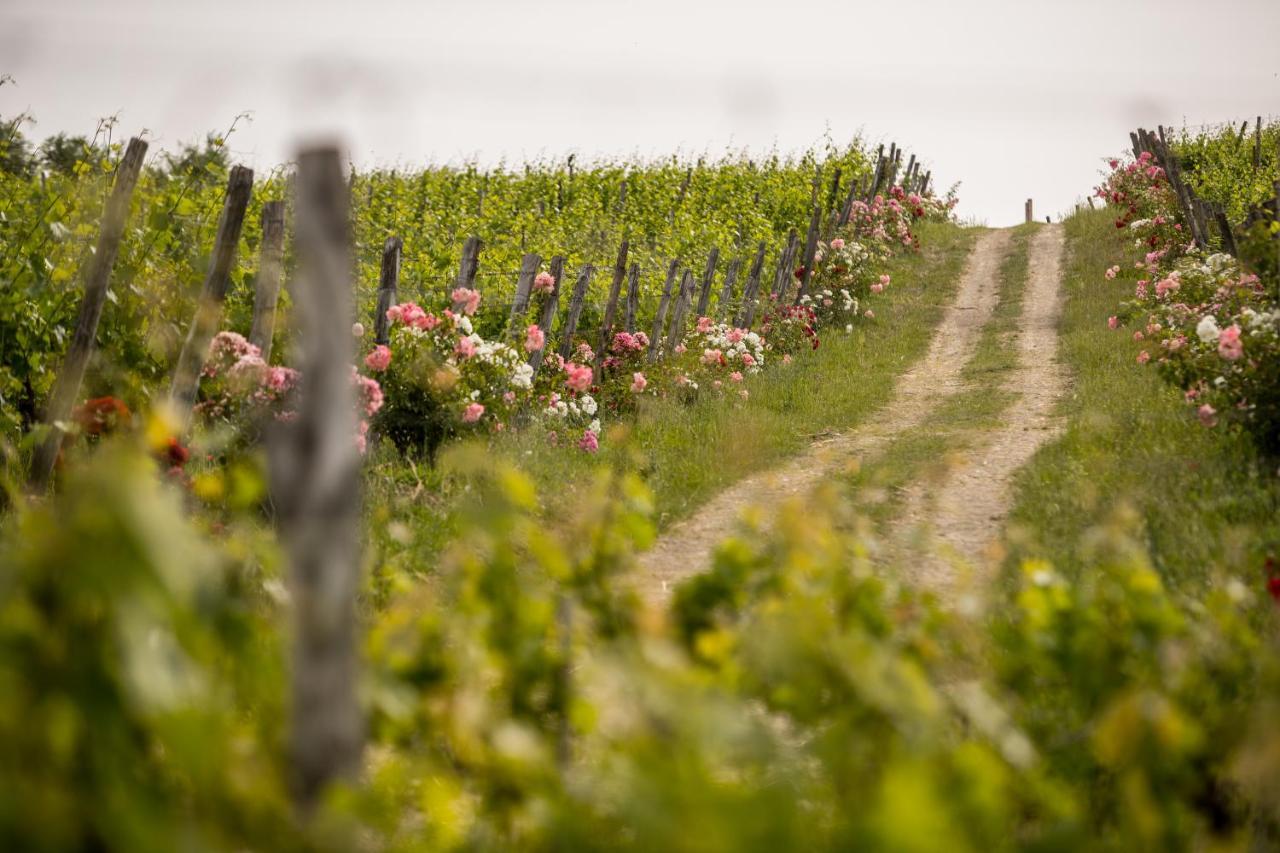Roccafiore Wine Resort & Spa Τόντι Εξωτερικό φωτογραφία