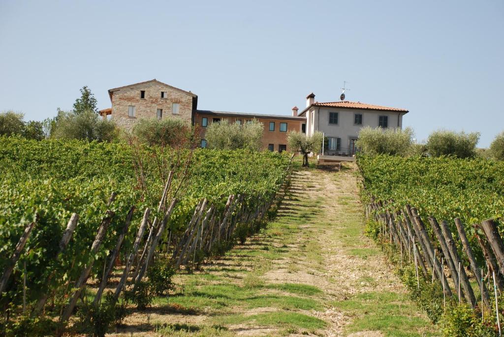 Roccafiore Wine Resort & Spa Τόντι Εξωτερικό φωτογραφία